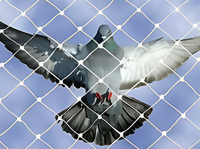 Sports Nets for Schools and Playgrounds - AS Enterprises Solution Provides Expert Installation in
								Vapi, Silvassa, Valsad, Gujarat, and Mumbai! Call Now: 8051800912